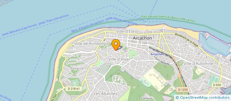localisation de l'entreprise VINS ET DECLINAISONS à ARCACHON