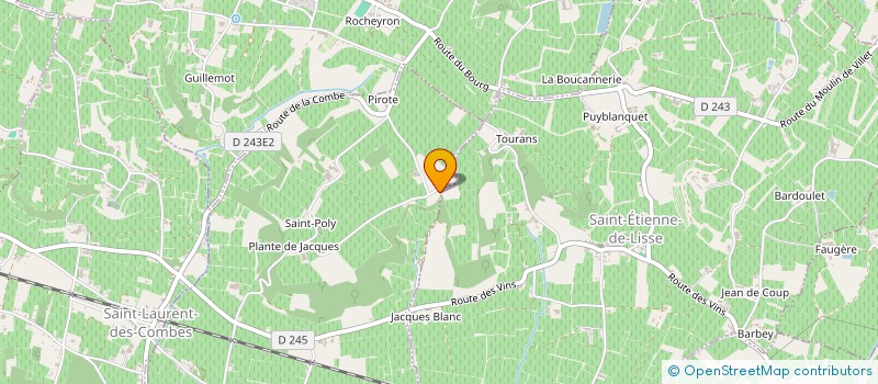 localisation de l'entreprise VINS LOISIRS ET DECOUVERTES  SAINT-EMILION
