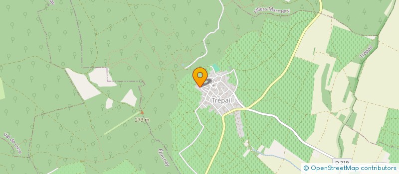 localisation de l'entreprise VINS & PATRIMOINE  TREPAIL