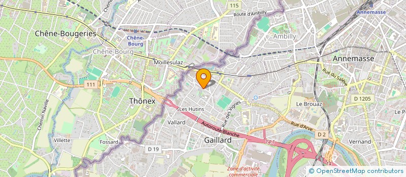 localisation de l'entreprise VINTAGE BOUTIQUE  GAILLARD