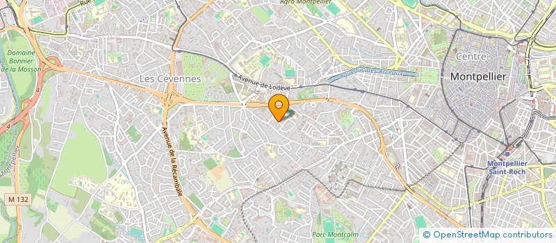 localisation de l'entreprise VIOLETTES à MONTPELLIER