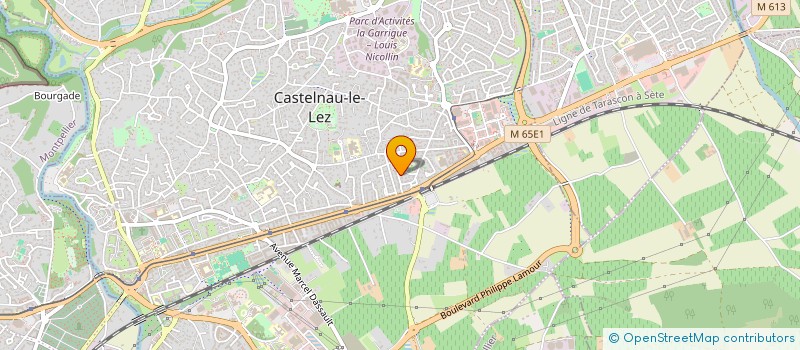 localisation de l'entreprise VIOLIN INTELLIGENCE  CASTELNAU-LE-LEZ
