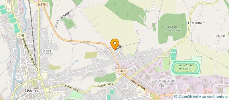 localisation de l'entreprise VIOLONS D INGRES à LISIEUX