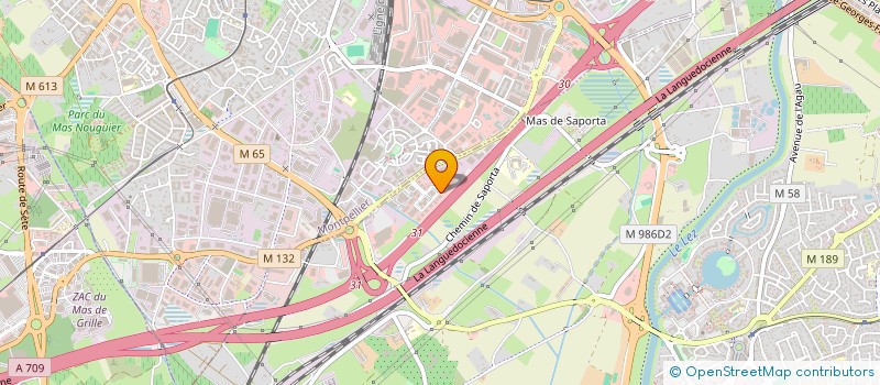 localisation de l'entreprise VIP MINICARS à MONTPELLIER