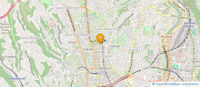 localisation de l'entreprise VIP PLATINIUM à NICE