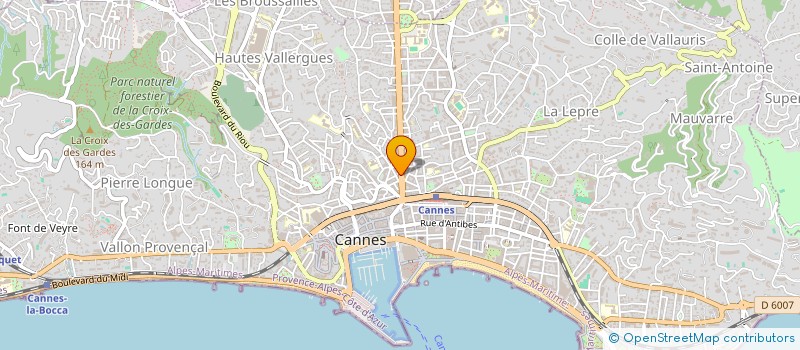 localisation de l'entreprise VIQUIOUS SARL à CANNES