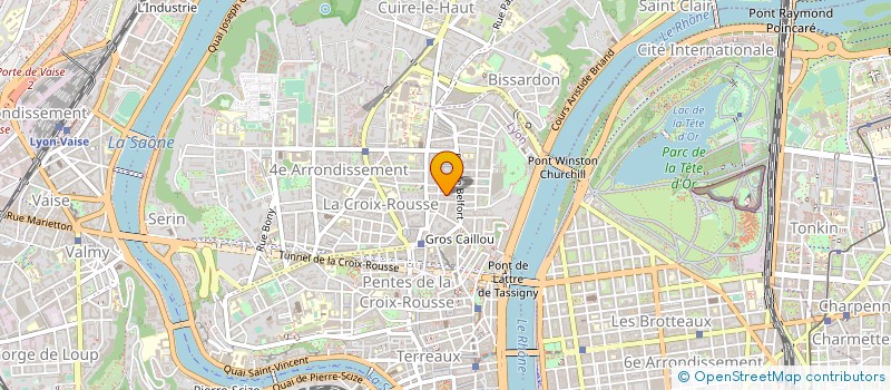 localisation de l'entreprise VIRGINIE SATRE  LYON