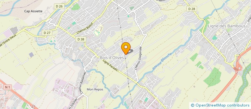 localisation de l'entreprise VIRTUOSA  SAINT PIERRE