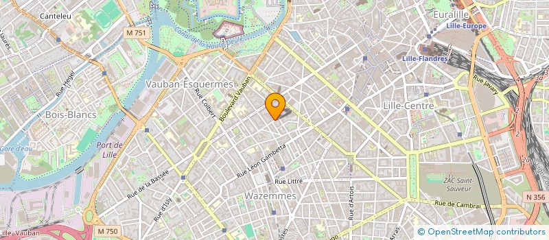 localisation de l'entreprise VISE-TOUTAIN FAMILY  LILLE