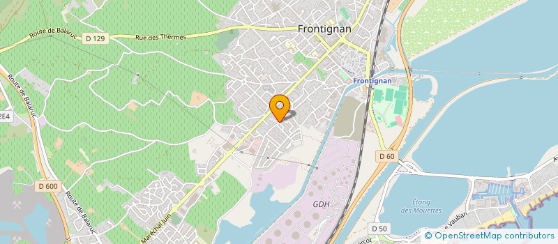localisation de l'entreprise VISION BY SKY à FRONTIGNAN