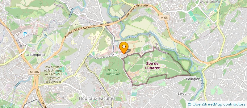 localisation de l'entreprise VISION CITOYENNE FRANCE à MONTPELLIER