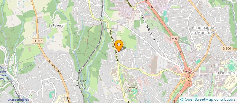 localisation de l'entreprise VISION & SYNERGIES  GENAS