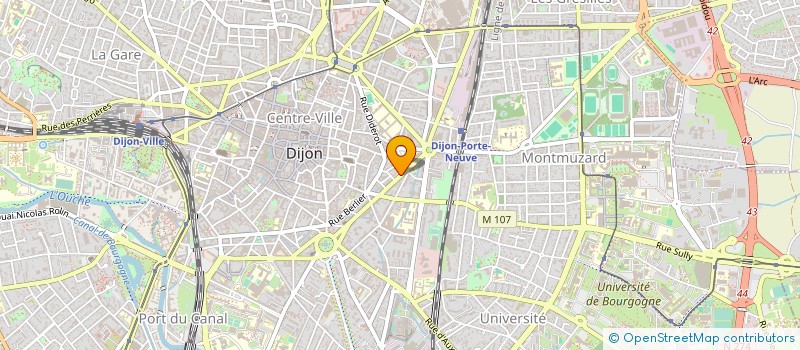 localisation de l'entreprise VIT'FLEX à DIJON