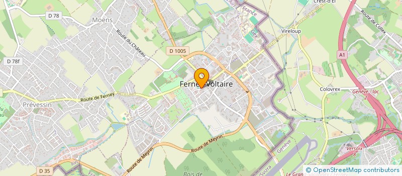localisation de l'entreprise VITAL-DURAND MARC & TISSOT BERNARD à FERNEY-VOLTAIRE