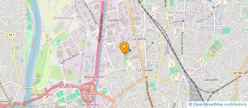 localisation de l'entreprise VITALITE HYBRIDE à TOULOUSE