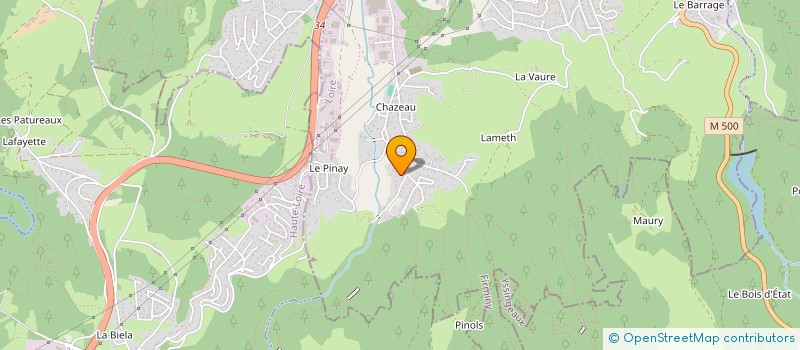 localisation de l'entreprise VITAMIN BOMB  FIRMINY