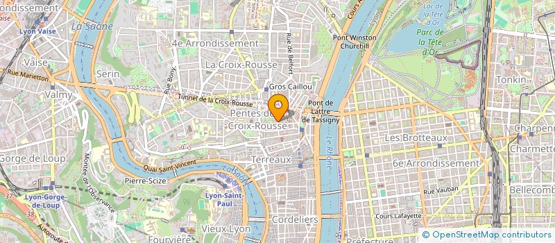 localisation de l'entreprise VITEAL CONSEIL  LYON