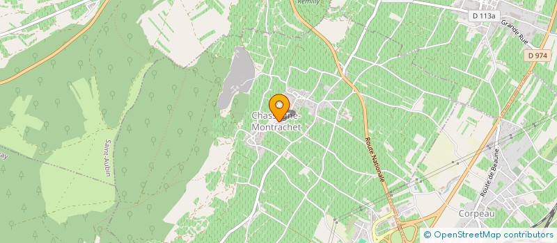localisation de l'entreprise VITI-PROSPER SERVICES à PULIGNY-MONTRACHET
