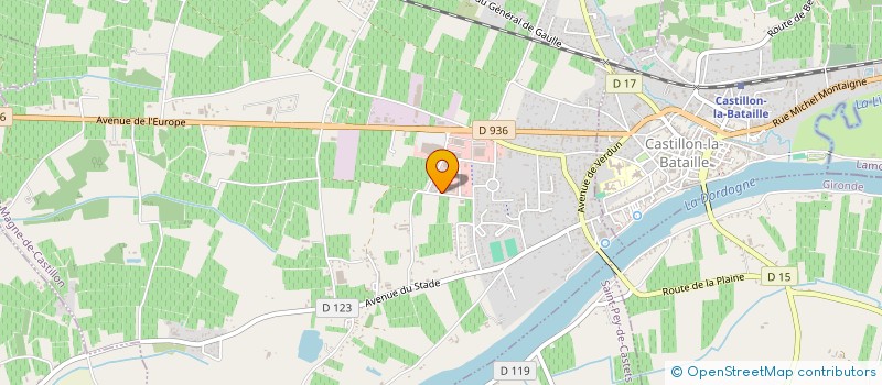 localisation de l'entreprise VITI-VINI EMBOUTEILLAGE  SAINT-MAGNE-DE-CASTILLON