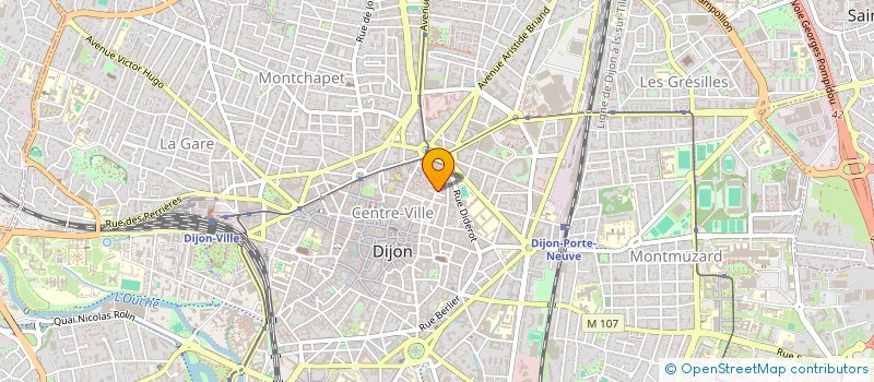 localisation de l'entreprise VITI'Z 4L  DIJON