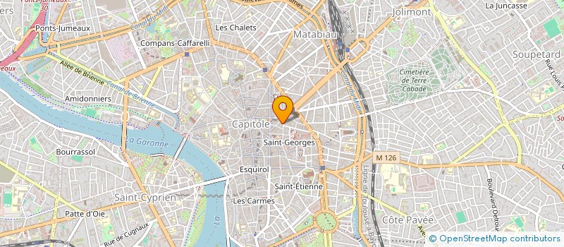 localisation de l'entreprise VITICOLE SERVICES  TOULOUSE