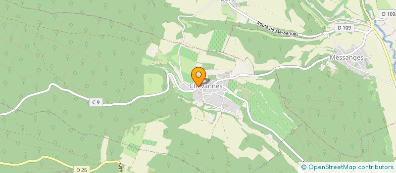 localisation de l'entreprise VITIIMMO à CHEVANNES
