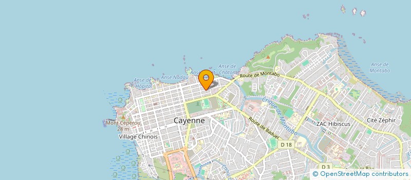 localisation de l'entreprise VITORIA DE FLEURUS  CAYENNE