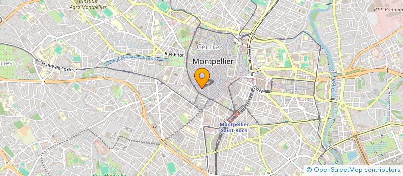 localisation de l'entreprise VITTO TRANSCONTINENTALE OMNIUM SARL à MONTPELLIER