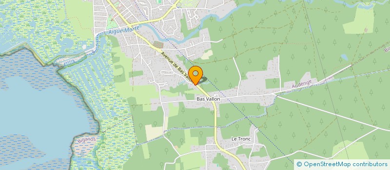 localisation de l'entreprise VIVA ITALIA  AUDENGE