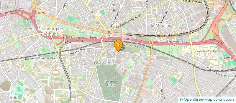 localisation de l'entreprise VIVA LA PIZZA à LILLE