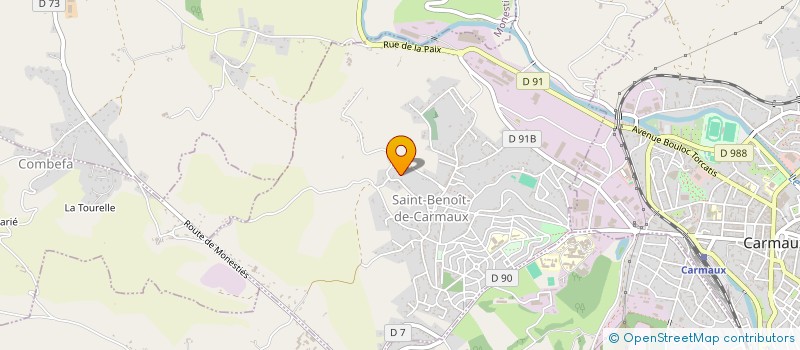 localisation de l'entreprise VIVASOFT  MARSSAC-SUR-TARN