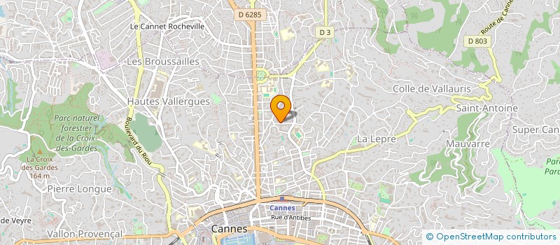 localisation de l'entreprise VIVASTEEL à CANNES