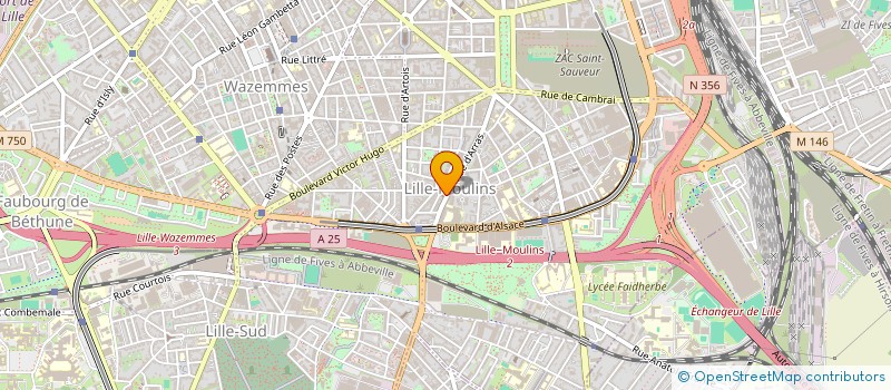 localisation de l'entreprise VIVE LA JONGLE à LILLE
