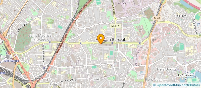 localisation de l'entreprise VIVE LA VIE à MONS-EN-BARŒUL