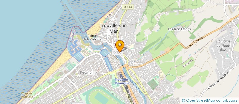 localisation de l'entreprise VIVE TROUTROU ! à TROUVILLE-SUR-MER