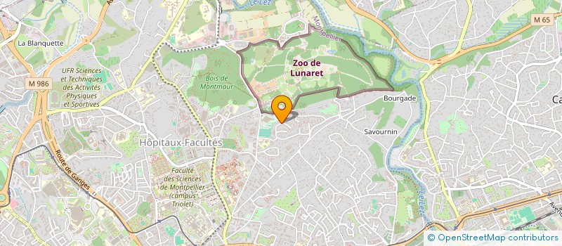 localisation de l'entreprise VIVID FRANCE à MONTPELLIER