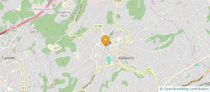 localisation de l'entreprise VIVO à VALLAURIS
