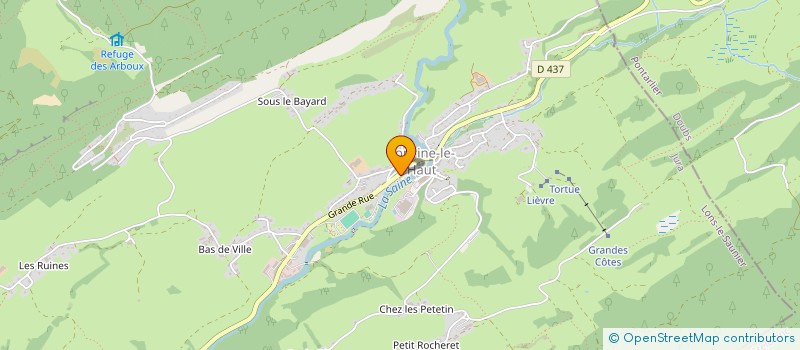 localisation de l'entreprise VIVRE A FONCINE LE HAUT  FONCINE-LE-HAUT