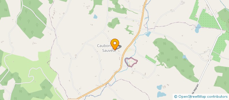 localisation de l'entreprise VIVRE A SAVIGNAC  SAVIGNAC-DE-DURAS