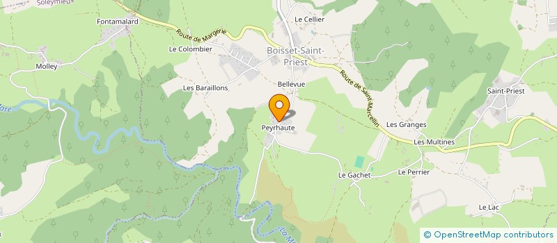 localisation de l'entreprise VIVRE L'ENDOMETRIOSE AUTREMENT  BOISSET-SAINT-PRIEST