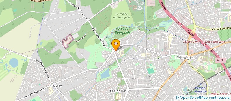 localisation de l'entreprise VIVRE LIBRE L HANDICAP à PESSAC