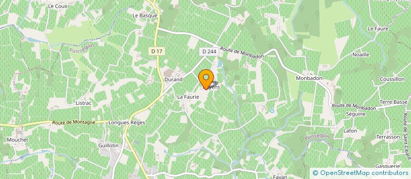 localisation de l'entreprise VIVRE SAIN HOLDING  PUISSEGUIN