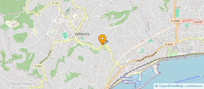 localisation de l'entreprise VJK  VALLAURIS