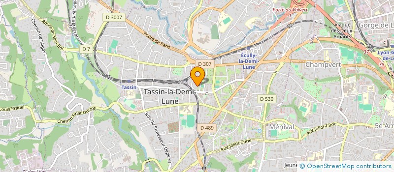 localisation de l'entreprise VLADVISORY à TASSIN-LA-DEMI-LUNE