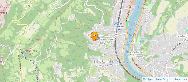 localisation de l'entreprise VLD  COUZON-AU-MONT-D'OR