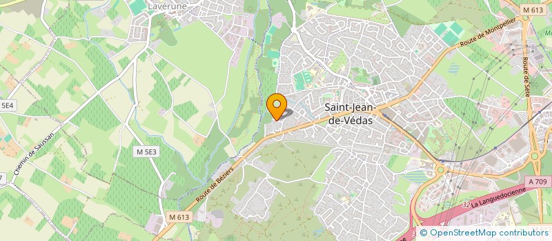 localisation de l'entreprise VLING à SAINT-JEAN-DE-VEDAS