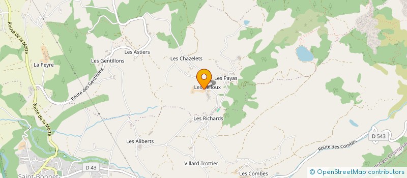 localisation de l'entreprise VLJ DISTRI à SAINT-BONNET-EN-CHAMPSAUR