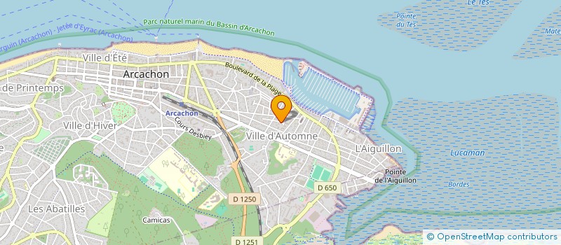 localisation de l'entreprise VLV OM INVEST  ARCACHON