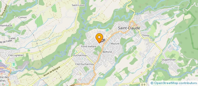 localisation de l'entreprise VM SOLUTIONS à SAINT-CLAUDE