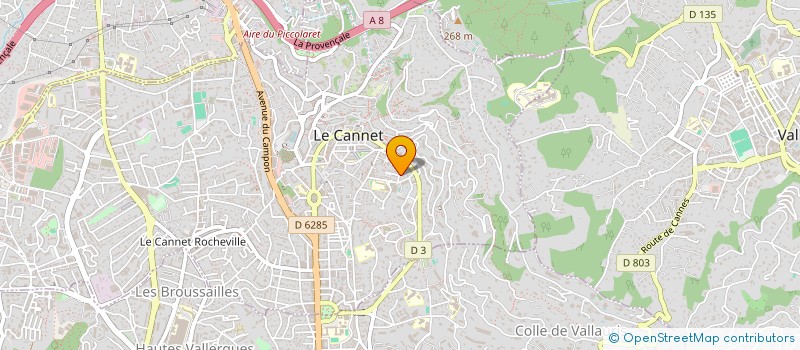 localisation de l'entreprise VO.IMPORT à LE CANNET